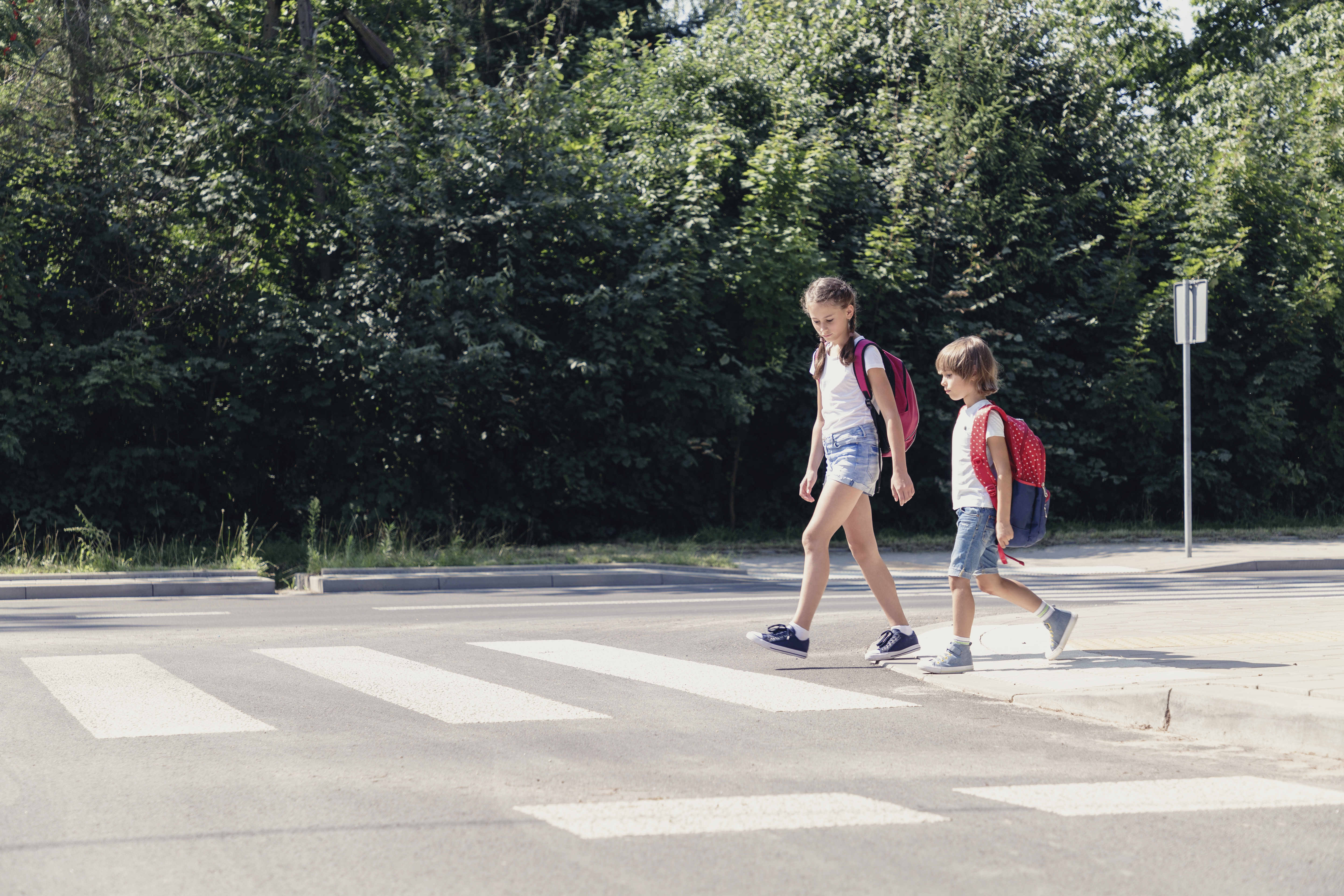 Girl and boy with backpacks walking on pedestrian crossing from